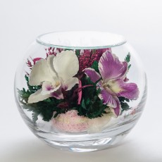 FIORA Арт:35135(BSO) цветы в стекле